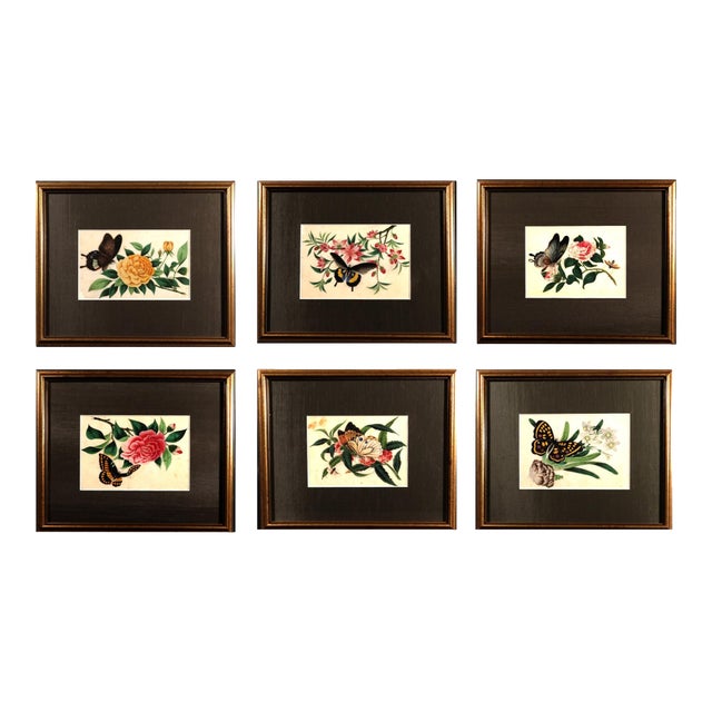 China Trade Pith Paper Paintings of Fruit and Butterflies, a Set of Six For Sale
