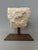 Corinthian Capital with a Flat Column, Early 16th Century For Sale - Image 9 of 10
