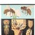 A beautiful, large vintage school chart/poster depicting the honeybee; paper-on-linen construction by Jung Koch Quentell,...