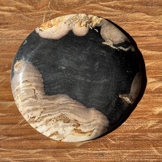 Small Trinket Tray or Dish in Black and Beige Petrified Wood, 1980s For Sale - Image 10 of 11