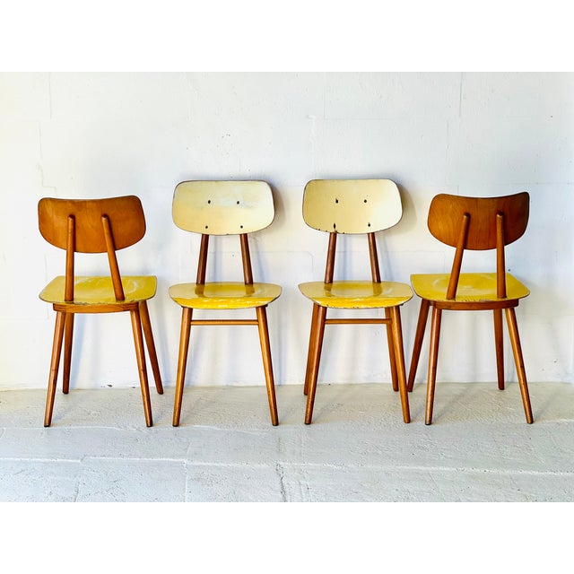 Dining Chairs from Ton, 1960s, Set of 4 For Sale - Image 15 of 18