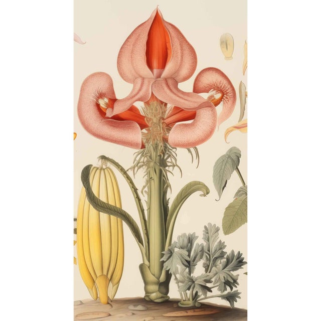 Wood Museum-Quality Fine Art Prints After Original Botanical Watercolors From the 1800s. For Sale - Image 7 of 9