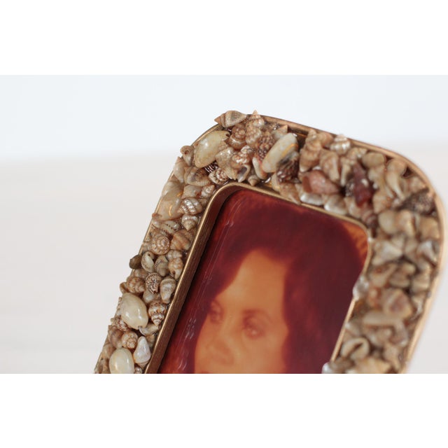 Cream Mid-Century Seashell Photo Frame 7x5.5 For Sale - Image 8 of 12