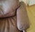 Coronado Lounge Chair in Brown Leather by Tobia and Afra Scarpa for B&B Italia / C&B Italia, 1960s For Sale - Image 10 of 12