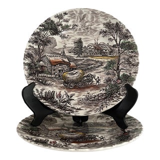 Early 20th Century Yorkshire Ironstone Plates - a Pair For Sale