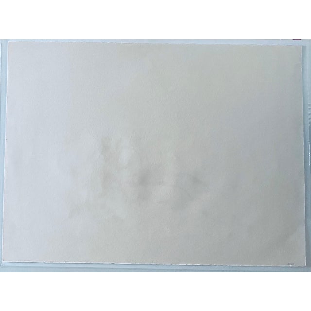 Anna Ticho, German Israeli Expressionist Abstract Bush in Judea Lithograph For Sale In Miami - Image 6 of 8