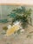 Mid 20th Century Asian Style Artwork Bird on Flower Composition, Signed For Sale - Image 5 of 12