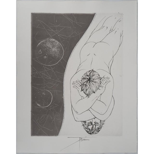 Pierre-Yves TREMOIS The dreamer Original engraving Signed in ink On BFK Rives vellum 57.5 x 45 cm Excellent condition This...