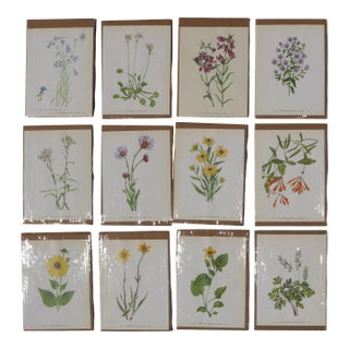 Set of 12 Vintage Botanical Prints Unframed For Sale