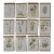 Set of 12 Vintage Botanical Prints Unframed For Sale