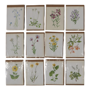 Set of 12 Vintage Botanical Prints Unframed
