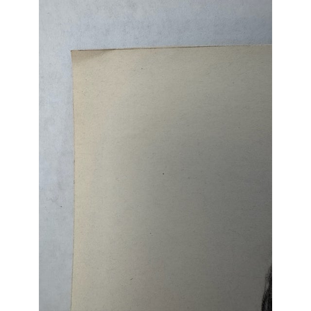 1940s Original Signed Graphite Illustration of Boy Holding Puppy, 12 × 9 In. For Sale - Image 4 of 6