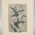Contemporary Georges Braque Birds in Flight Etching With Authentication 18.5" For Sale - Image 3 of 11