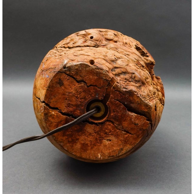 Vintage Mid 20th Century California Free Form Burl Root Wood Table Lamp For Sale - Image 9 of 10