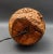 Vintage Mid 20th Century California Free Form Burl Root Wood Table Lamp For Sale - Image 9 of 10
