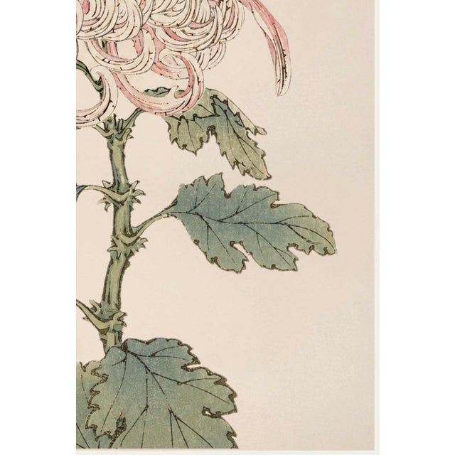 Not Yet Made - Made To Order Blush Mum by Hasegawa, Vintage Japanese Botanical Art Print, 40" X 60" For Sale - Image 5 of 11
