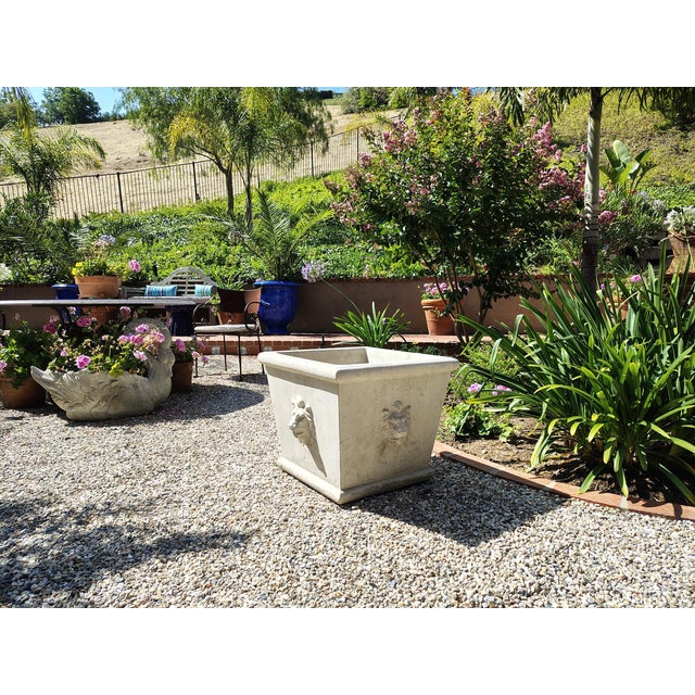 1990s Vintage Cast Concrete Lions Head Planter For Sale - Image 5 of 12