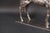 Hugo Verheyen, Sculpture Standing Horse, 1980, Metal For Sale - Image 8 of 11
