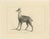 This etching and engraving, titled "Chamois," depicts a chamois standing with a poised and alert demeanor. The artist has...