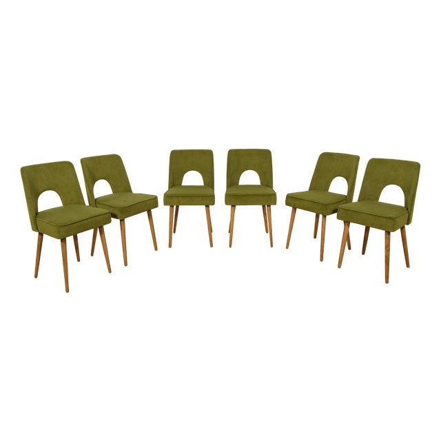 Shell Chairs from Bydgoszcz Furniture Factory, 1960s, Set of 6 For Sale