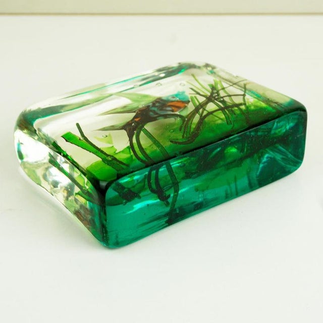 Murano Glass Aquarium attributed to Riccardo Licata for Gino Cenedese, Italy, 1960s For Sale - Image 11 of 12