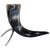 Buffalo Horn on a Stand Home Decor For Sale