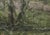 The painting depicts a serene landscape near Galway, characterized by lush green fields and gentle rolling hills. The...