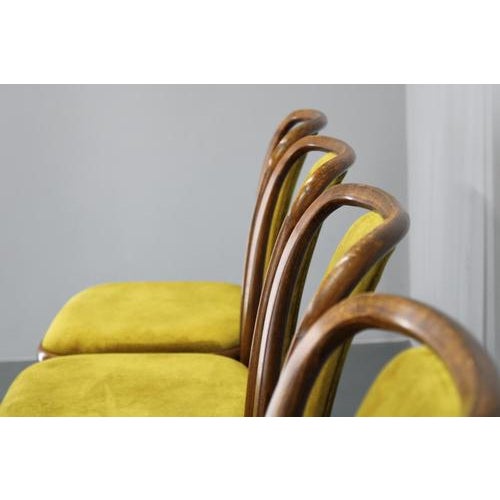 Beech Bentwood Dining Chairs attributed to Ton, Former Czechoslovakia, 1970s, Set of 4 For Sale - Image 10 of 18