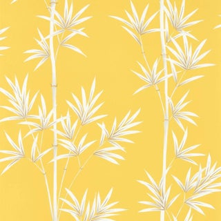 Harlequin Isabella Wallpaper in Honey/Porcelain - a Sample For Sale