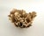 Chinoiserie Natural Unbleached Poca Coral Specimen For Sale - Image 3 of 5