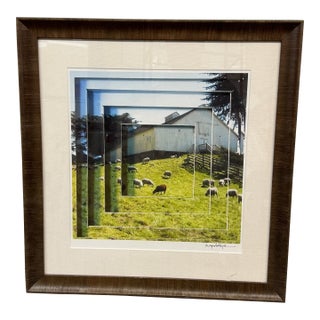 Maynard Hale Lyndon "Playful Ways of Seeing the Sea Ranch" Framed Photograph, Framed For Sale
