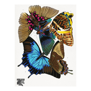 Butterflies (E. A. Séguy), Vintage Art Print Reproduction, 18" × 24"