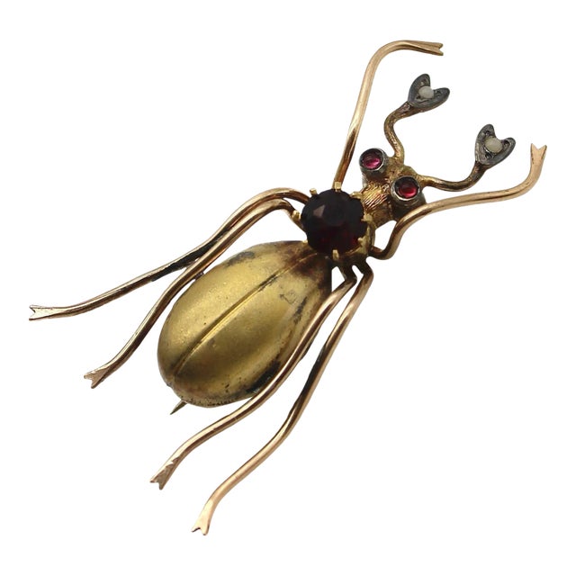 Victorian Gold Fill Beetle Brooch For Sale