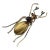 Victorian Gold Fill Beetle Brooch For Sale