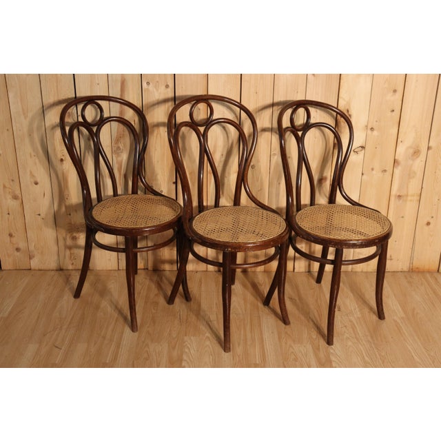 Set of six bistro chairs by Hofmann, Angel Wing model. Stable and functional frame in bent beechwood. The rounded seat is...