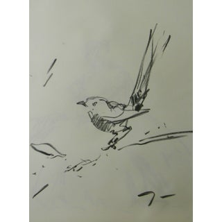 "Little Bird" Contemporary Charcoal Drawing on Paper by Jose Trujillo For Sale