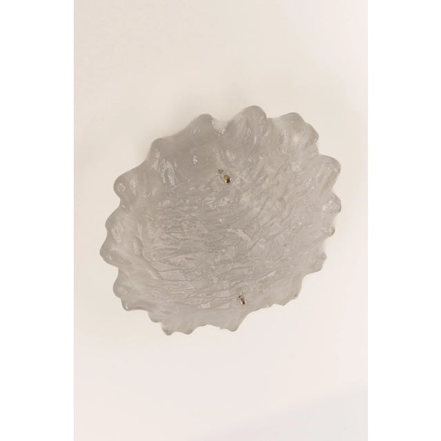 German Sputnik Murano Glass Wall Sconce from Peill & Putzler For Sale - Image 3 of 12