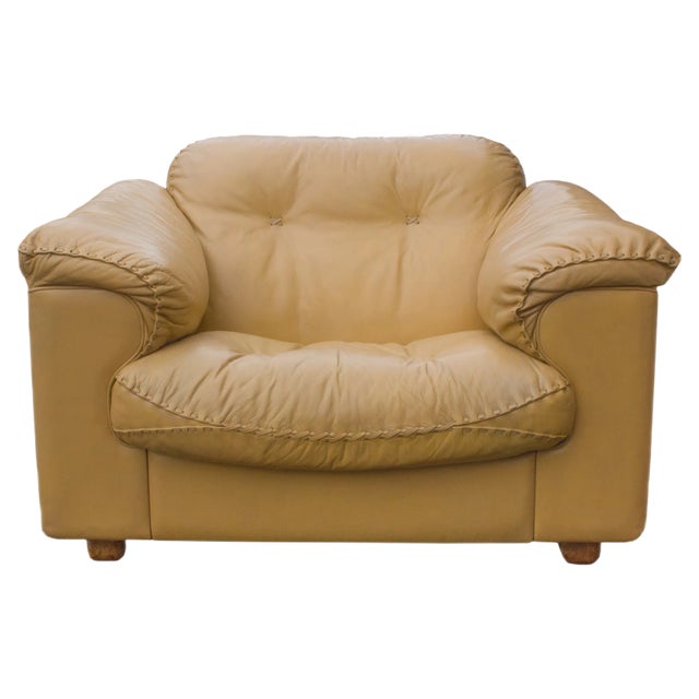 Leather DS 101 Lounge Chair from de Sede, 1960s For Sale