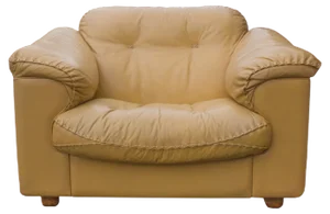 Leather DS 101 Lounge Chair from de Sede, 1960s