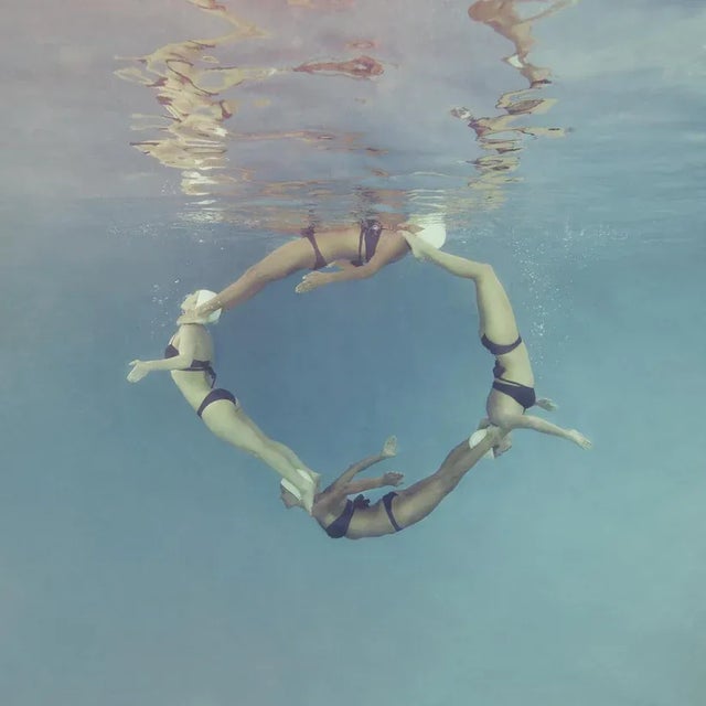 Dolphin Circle by Mallory Morrison Print, 36" x 36" For Sale