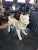 Off-white Antique French Bulldog Sculpture | Early 20th Century Plaster & Metal Figure, Circa 1910–1920 For Sale - Image 8 of 12