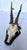 Vintage 1973 German Roe Deer Antler Mount With Matching Jawbone For Sale - Image 4 of 14