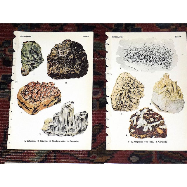 Authentic Antique 1916 Mineral Lithographs - Set of 12 For Sale - Image 4 of 8