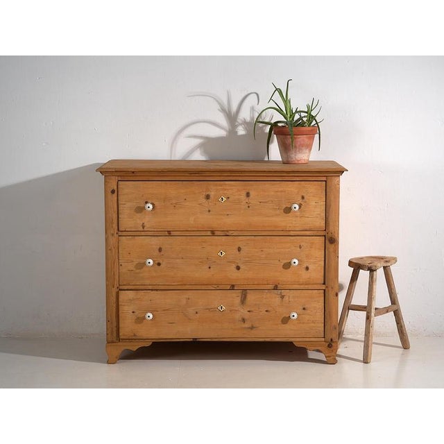 Antique Provençal Chest of Drawers 1920 19 For Sale - Image 12 of 12