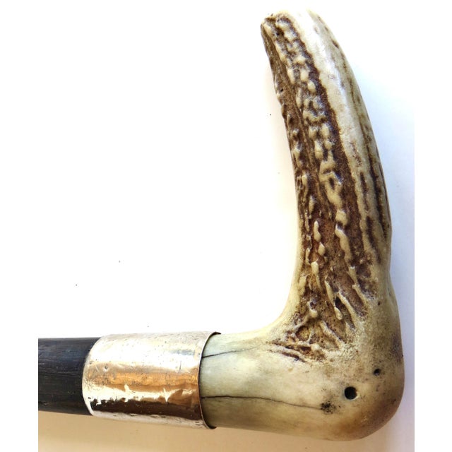1900 - 1909 Antique Stag Horn Handle American Walking Stick Circa 1900 For Sale - Image 5 of 7