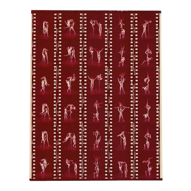 1970s Malcolm Hoare Rambert Dance Contact Sheet Photograph For Sale