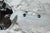 Late 20th Century Vintage White & Clear Murano Flush Mount or Wall Sconce For Sale - Image 5 of 10