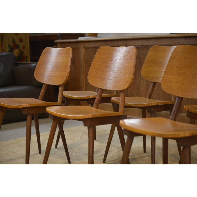 Vintage Chairs in Oak, 1960s, Set of 6 For Sale - Image 11 of 13