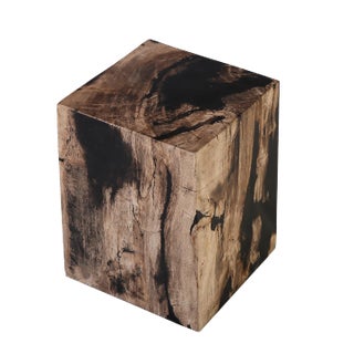Organic Modern Petrified Wood Stool Accent Table For Sale