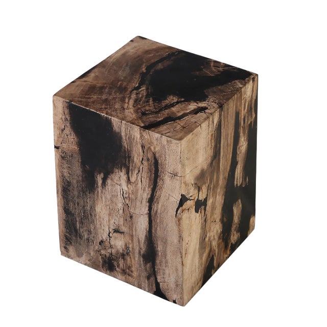 Organic Modern Petrified Wood Stool Accent Table For Sale